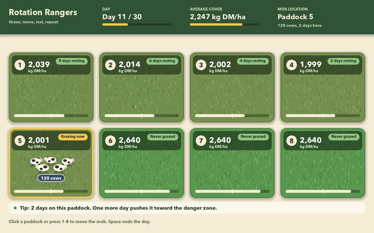 A healthy rotation: two days per paddock while the rest recover.